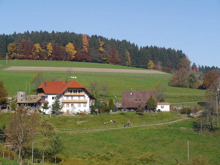 Bauernhof für 7 Personen, mit Balkon und Terrasse im Schwarzwald