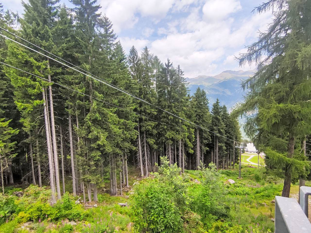 Appartamento intero, Tra le Piste in Marilleva, Mezzana