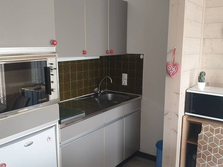 Gîte pour 4 personnes, avec terrasse, animaux acceptés dans Les Carroz - 4