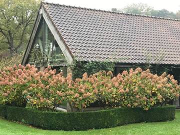 Cottage pour 3 personnes, avec jardin ainsi que terrasse et vue à Lasne