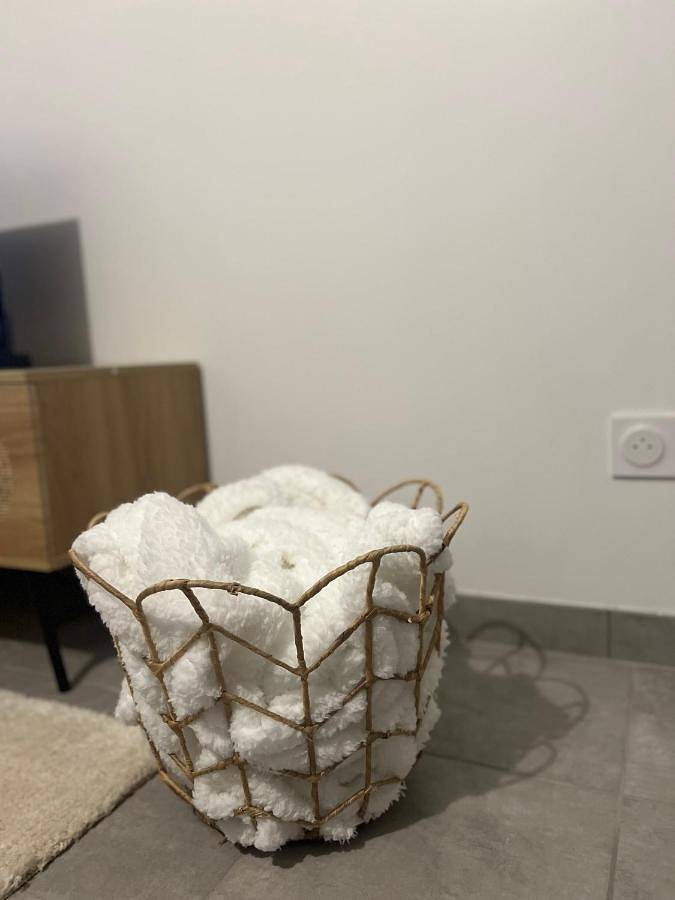 Gîte pour 4 personnes, avec terrasse et jardin, animaux acceptés à Carbon-Blanc - 4