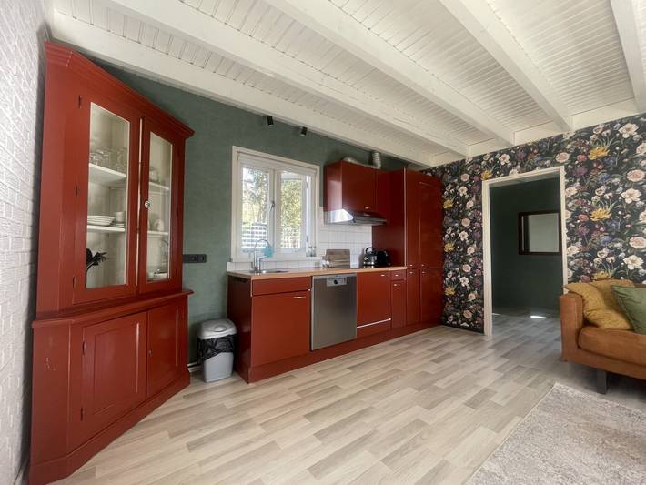 Gemütliche 2-Personen-Wohnung mit eigener Terrasse in Schoonloo am Waldrand in Drenthe