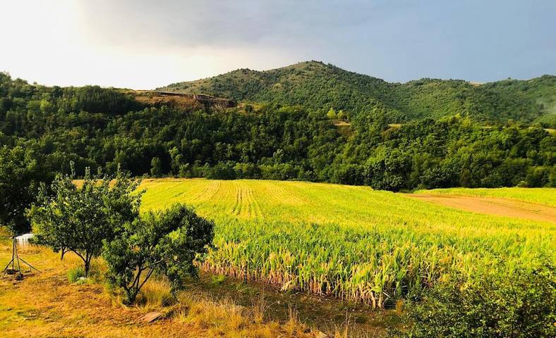 Location de vacances pour 15 personnes, avec jardin ainsi que vue et vue sur le lac, animaux acceptés à Blassac - 2