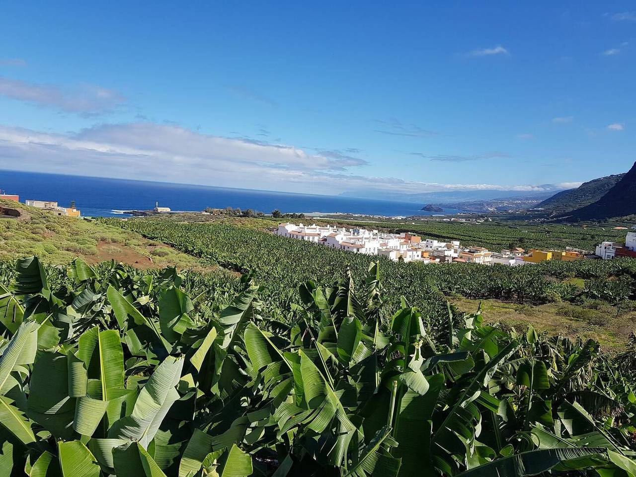 Appartement entier, Los Silos - Chc-Apartamento Tulipanes  in Los Silos, Tenerife du Nord