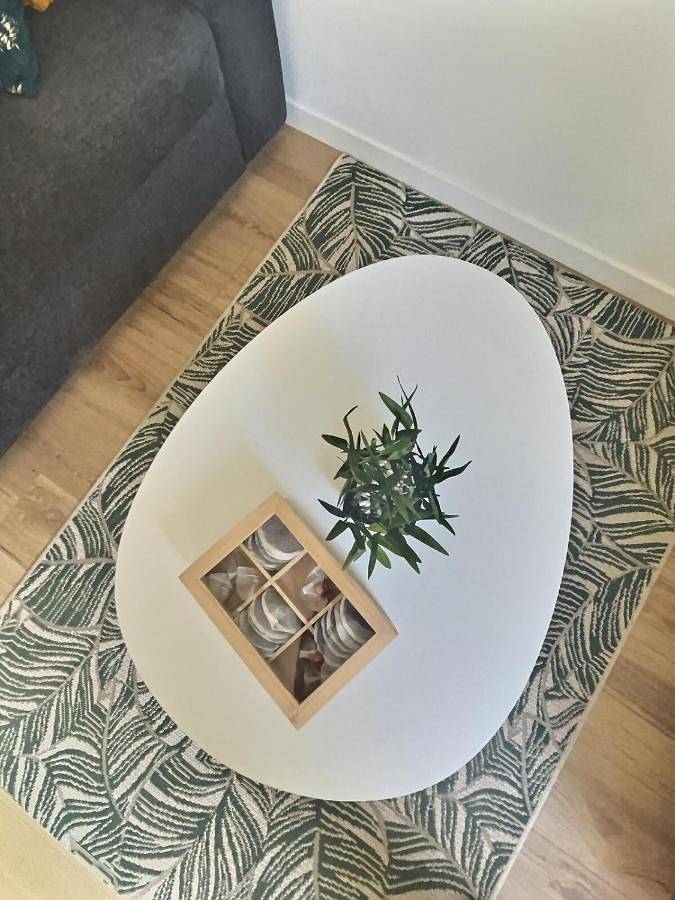 Appartement entier, One-Bedroom Apartment in Nègrepelisse, Tarn-et-Garonne