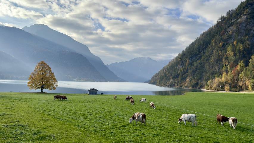 Ferienwohnung für 4 Personen, mit Balkon und Garten sowie Seeblick am Achensee - 2
