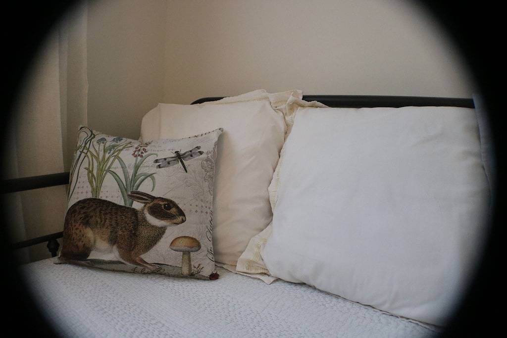 Oceanfront Cottage privaten abgelegenen Dog Friendly bei Colvmns by the Sea in Cape May, Cape May County