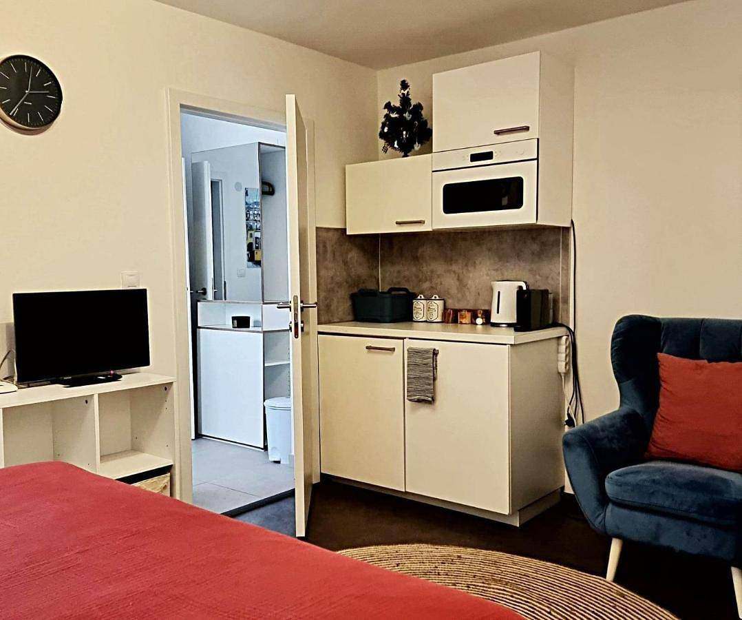 Appartement entier, Apartmán Zlatý kříž in Písek, Région de Písek