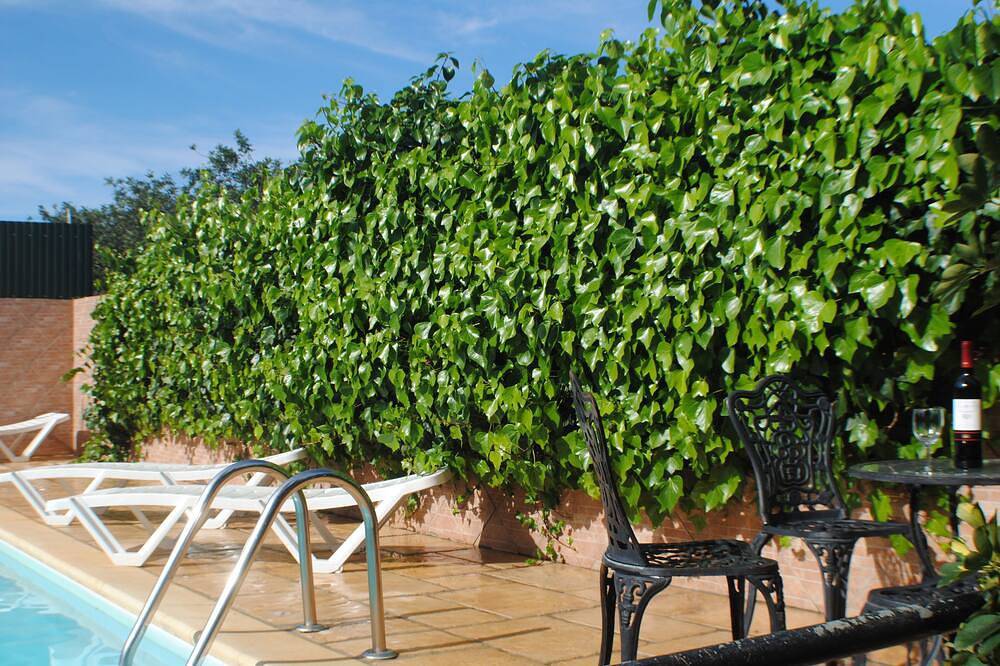 Villa with private pool in Estoi, Faro