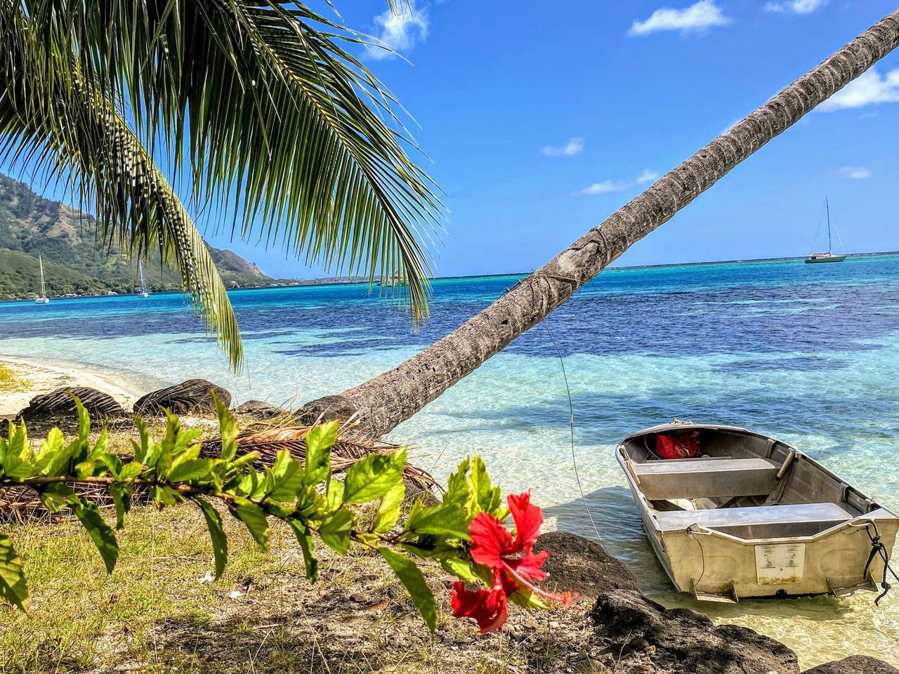 Appartement entier, Appartement de vacances pour 2 personnes avec jardin in Mo'orea