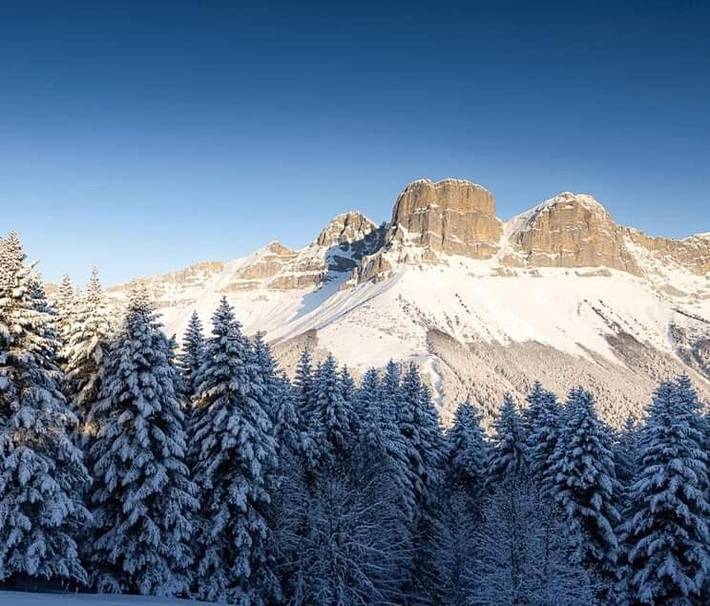 Gîte pour 4 personnes, avec vue et terrasse, animaux acceptés à Château-Bernard - 3