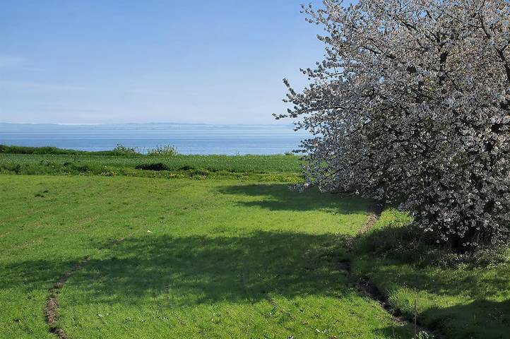 Ferienhaus für 4 Personen, mit Garten und Terrasse in Augustenburg