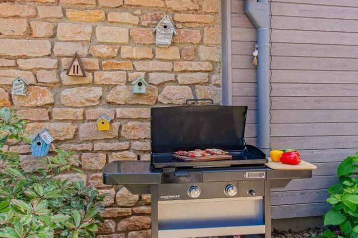 Location de vacances pour 4 personnes, animaux acceptés à Prissé - 4