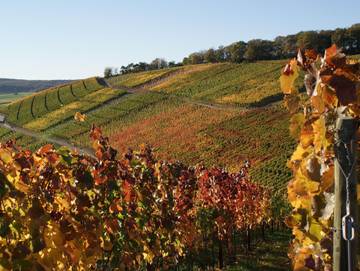 Ferienwohnung für 4 Personen in Neuenahr, Bad Neuenahr, Bild 4