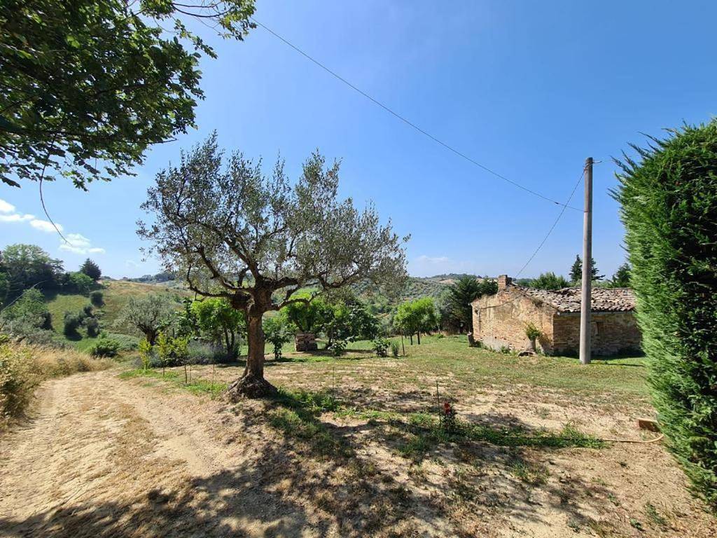 La Casetta in Collina - a pochi Km dal mare (Pe) in Spoltore, Provincia di Pescara