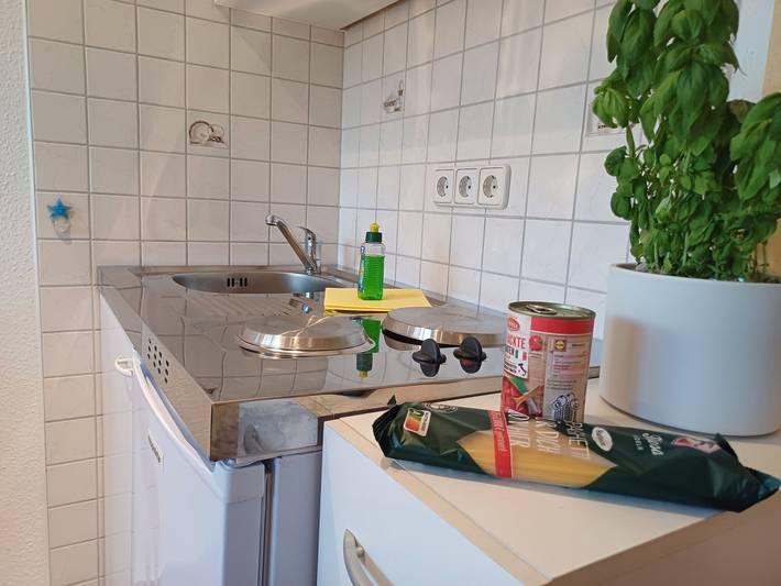 Ferienwohnung für 2 Personen, mit Garten und Terrasse in Zirchow - 4