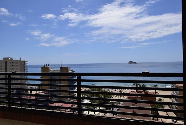 Ferienwohnung für 4 Personen, mit Terrasse und Garten, mit Haustier in Benidorm - 2