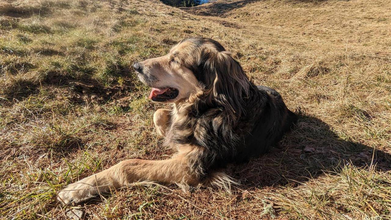 Landhaus Steinbrech in Grainau, Eibsee
