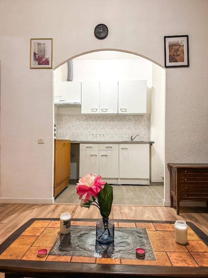 Gîte pour 3 personnes, avec balcon dans Palais Des Rois De Majorque Perpignan - 4