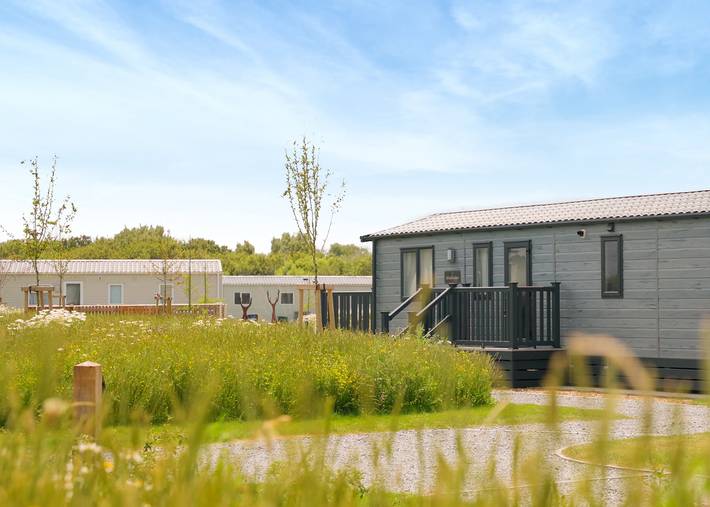 Glamping for 8 people in North Norfolk