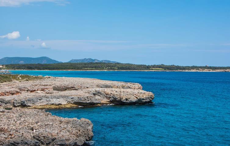 Ganze Ferienwohnung, Meerblick-Apartment mit Terrasse, Küche, WiFi | 900m zum Strand in S'Illot Cala Morlanda, Manacor