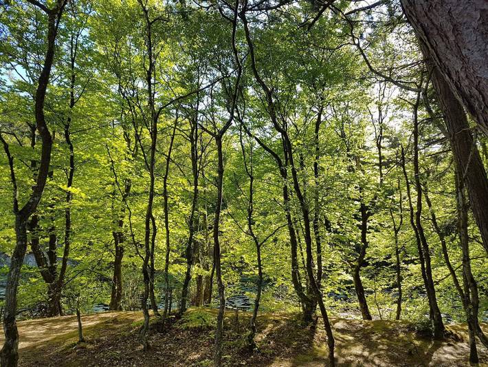 Ferienhaus für 10 Personen, mit Whirlpool und Sauna sowie Terrasse, kinderfreundlich in Lodskovvad - 4