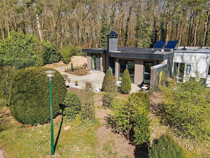Bungalow in Drenthe am Wald und See in Drenthe