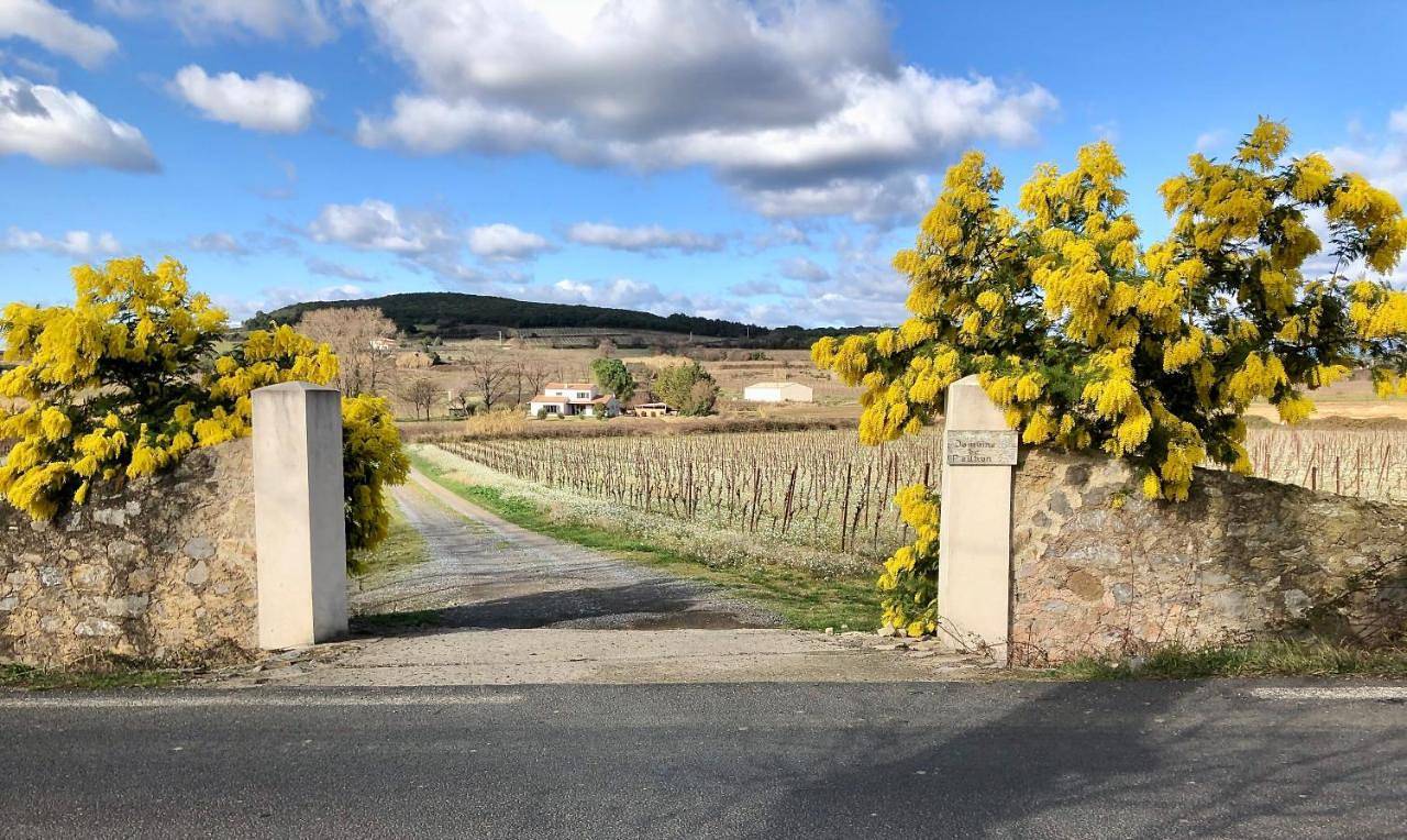 Double Room with Private External Bathroom in Roujan, Côte méditerranéenne (France)