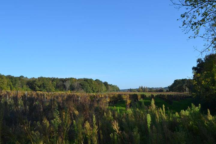 Location de vacances pour 6 personnes, avec terrasse et vue ainsi que jardin et piscine à Gardegan-et-Tourtirac - 4