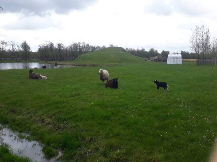 4 Personen Ferienhaus in Ansager in Ansager, Varde