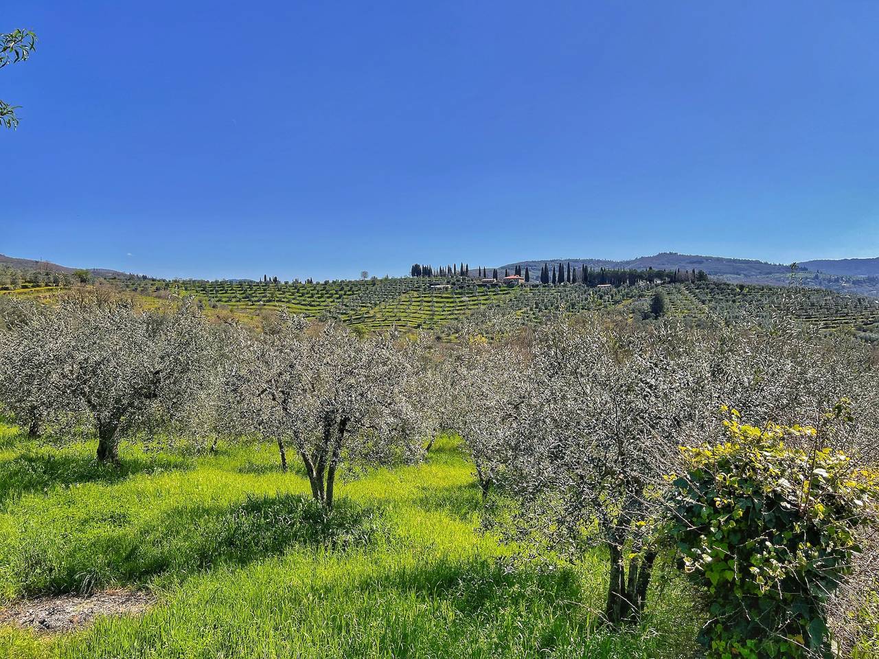 Corte di Muciafora 1 in Arezzo, Chianti