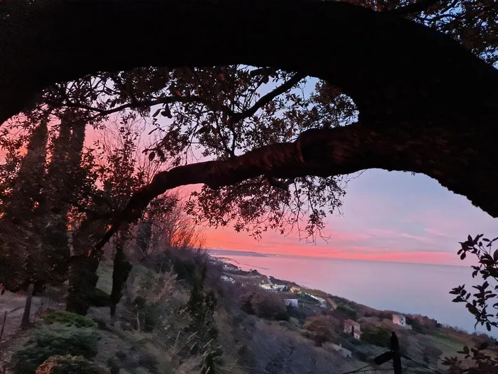 Albergo a gestione familiare per 2 persone, con giardino e panorama - 1