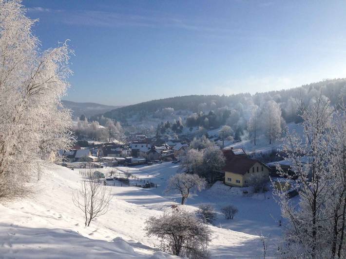 Ferienhaus für 5 Personen, mit Haustier im Thüringer Wald - 4