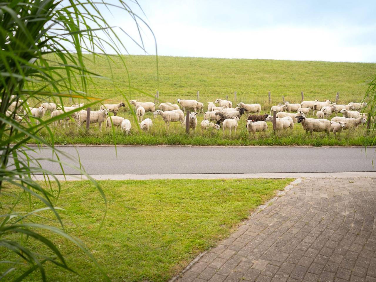 Ganze Ferienwohnung, Ferienwohnungen Heinrich - Fewo West W1 , Dusche, Wc, 2 Schlafräume in Butjadingen, Nordseeküste