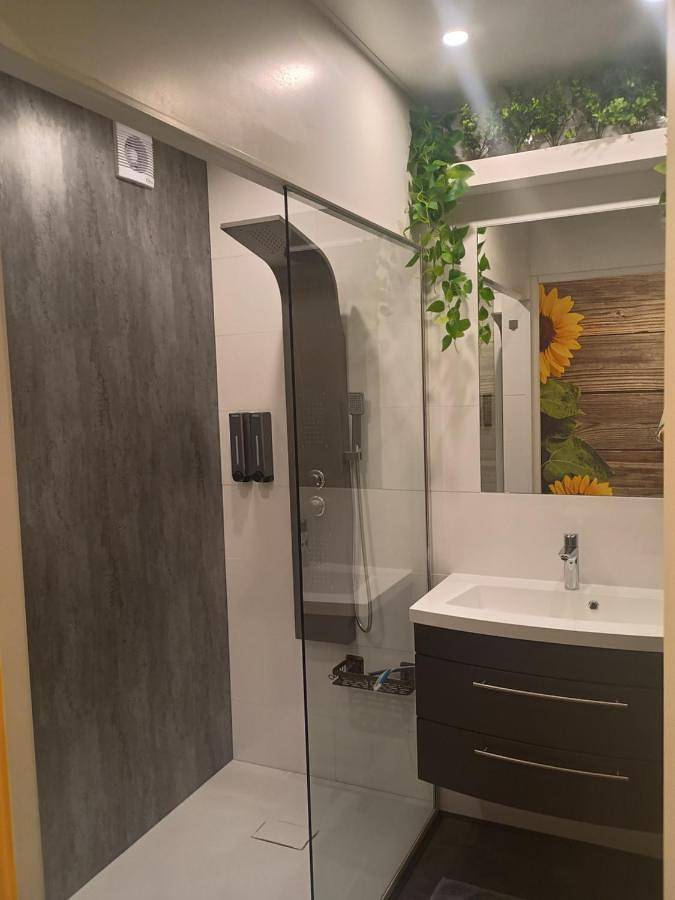 Chambre d’hôte pour 4 personnes, avec terrasse à Leiden - 3