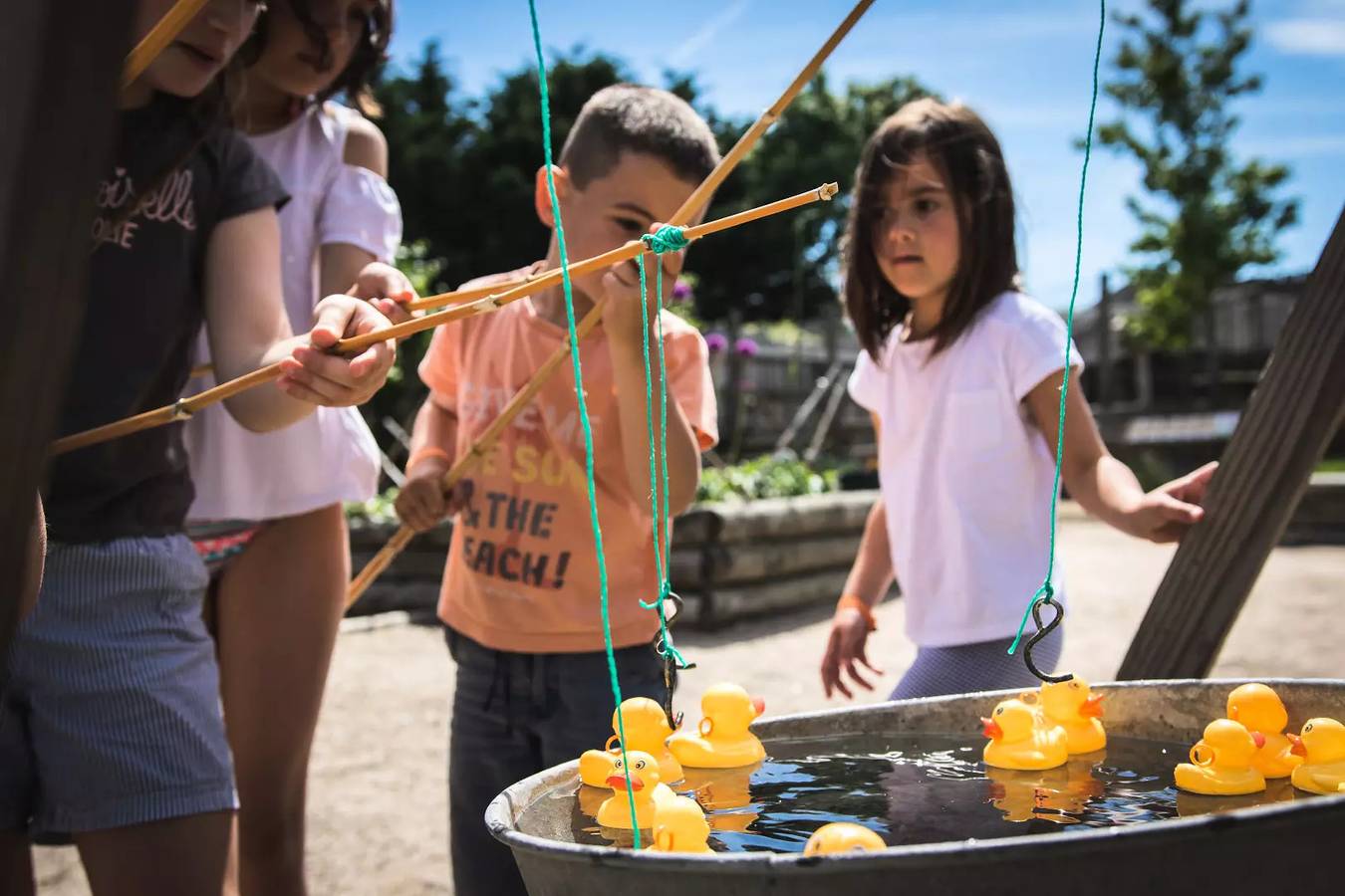 Cottage Comfort 4 Zimmer 6 Personen in Saint-Hilaire-la-Forêt, Vendée