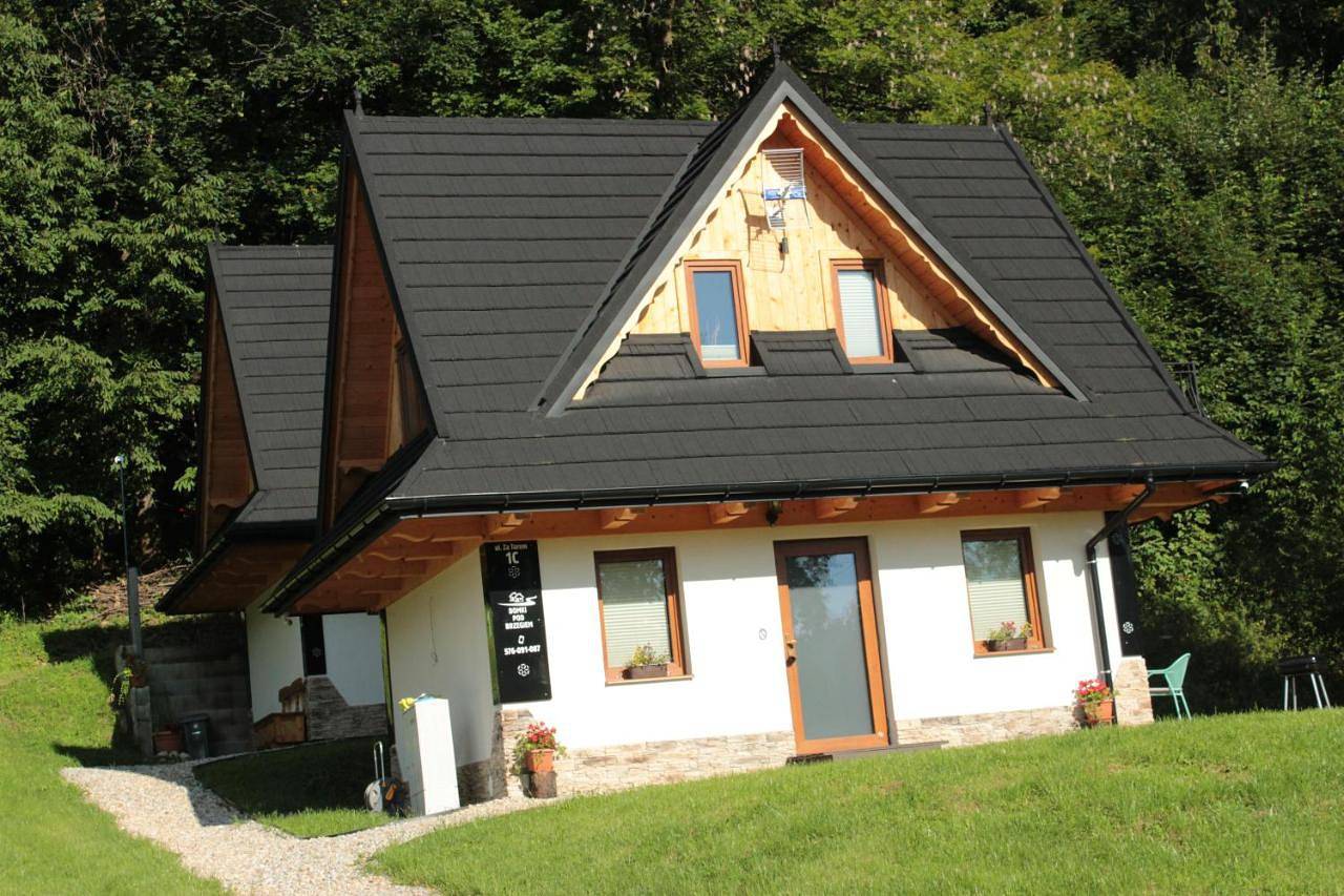 Domki Pod Brzegiem in Biały Dunajec, Karpaty (Polska)