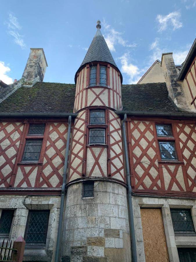 Gîte pour 8 personnes, avec terrasse, animaux acceptés dans Musee Du Berry Bourges - 3