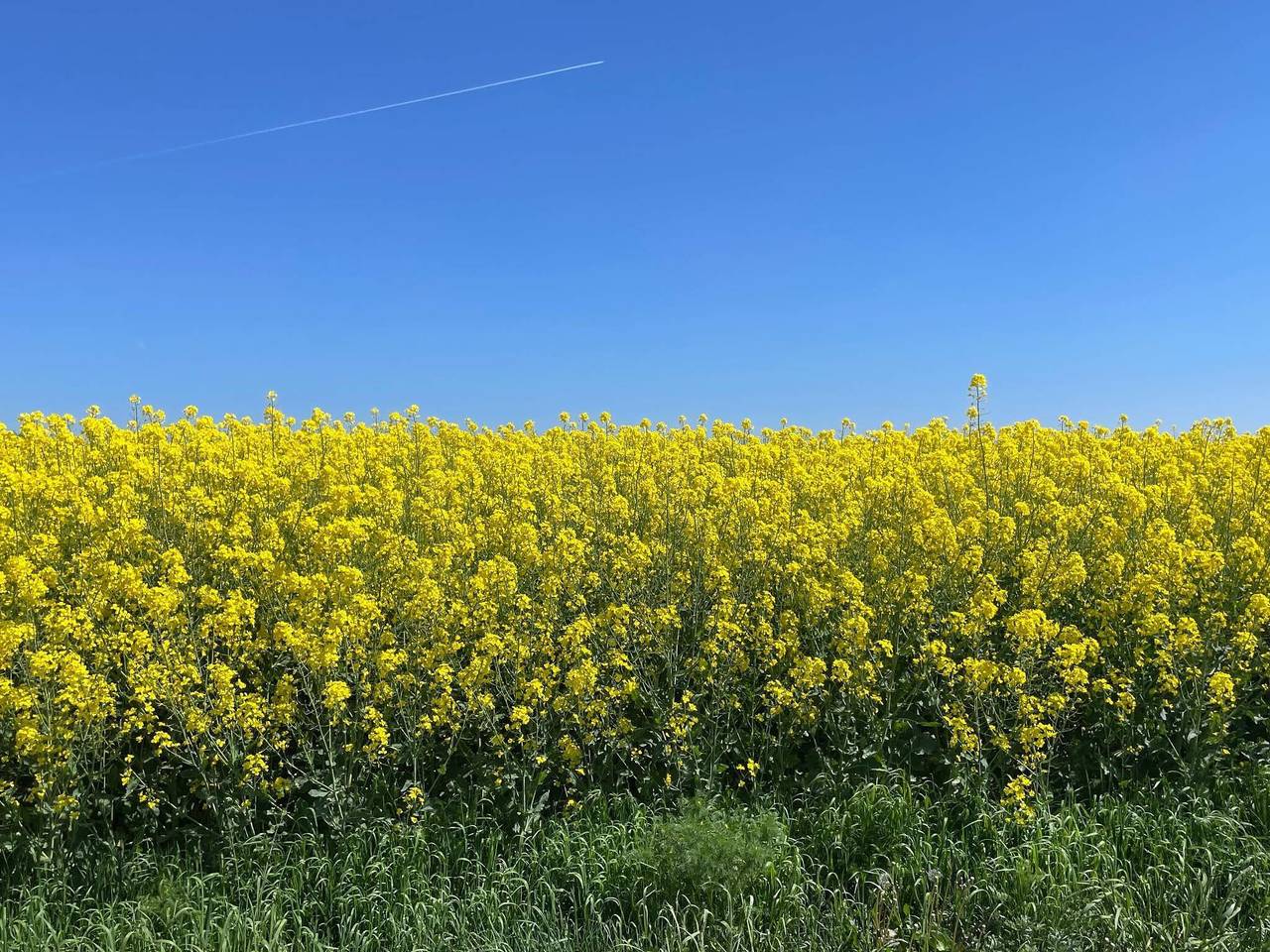 4 Sterne Ferienhaus in oxie in Malmö, Schwedische Ostsee