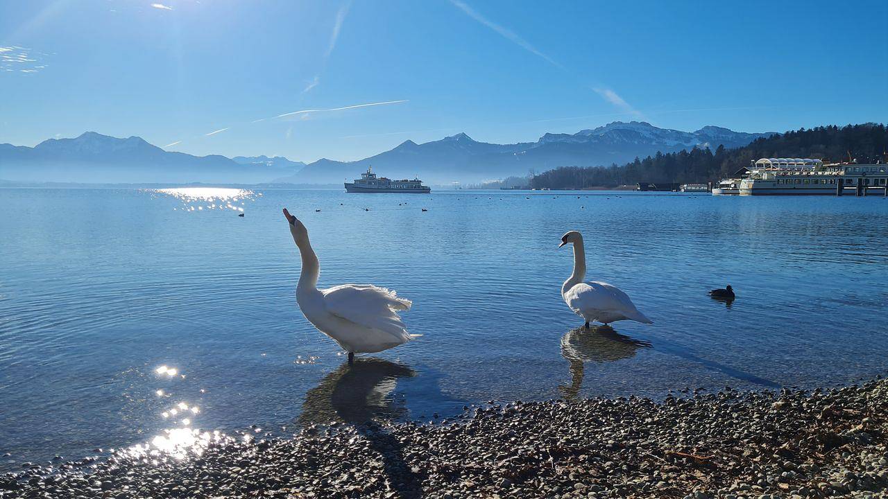 Ganze Ferienwohnung, Ferienwohnung für 2 Personen (36 m²) in Chieming in Chieming, Chiemsee