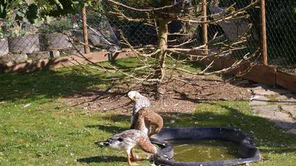 Ferienhaus für 4 Personen in Argenthal, Nahetal, Bild 3