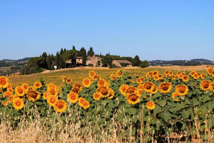 B&b per 4 persone, con Giardino e Piscina nonché Panorama a Scandicci