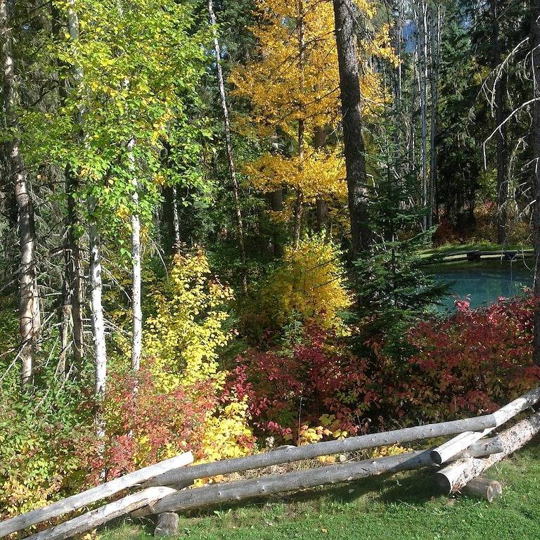 Revelation Valley Carriage House in der Nähe von Jasper National Park in Fraser-Fort George Regional District