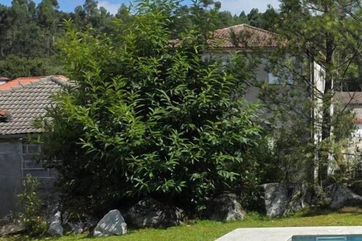 Casa de vacaciones para 6 personas, con balcón y jardín, Se admiten mascotas - 1