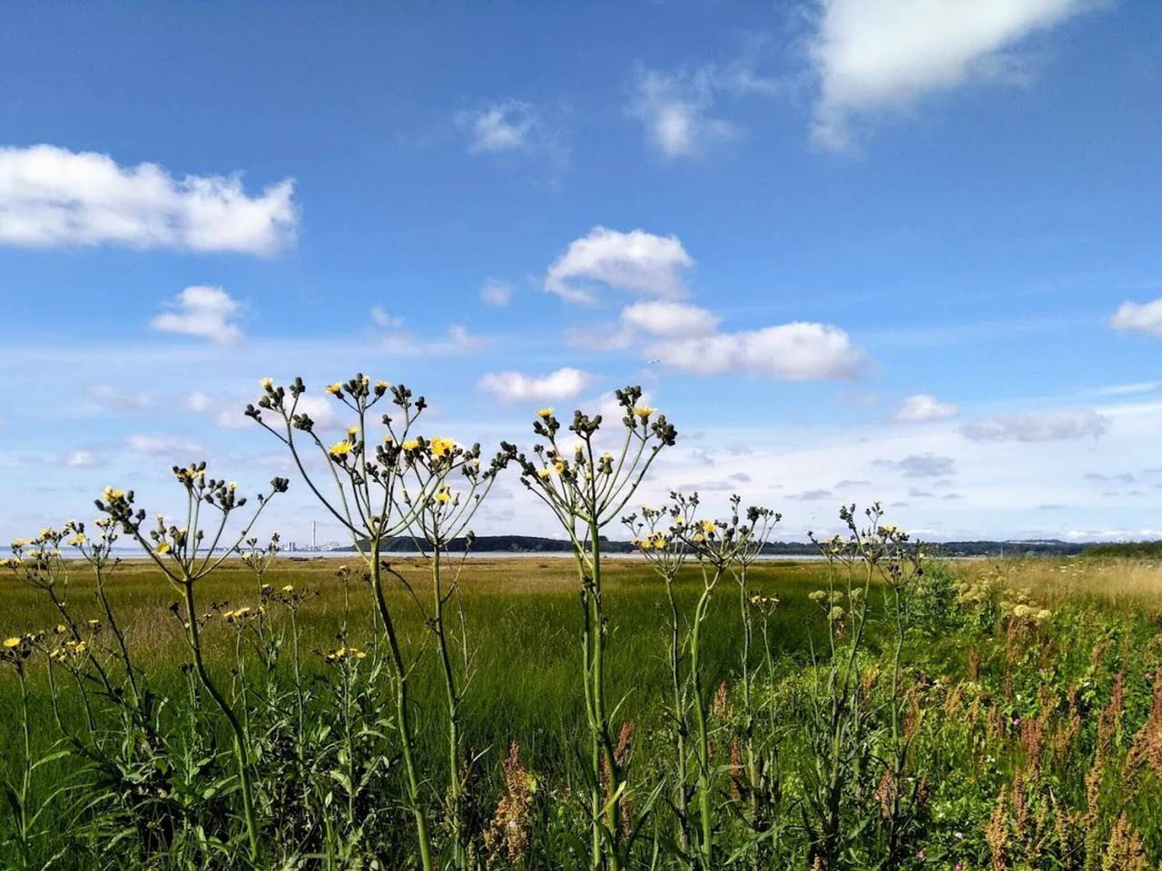 6 Personen Ferienhaus in Rønde-By Traum in Følle Strand, Süddjursland