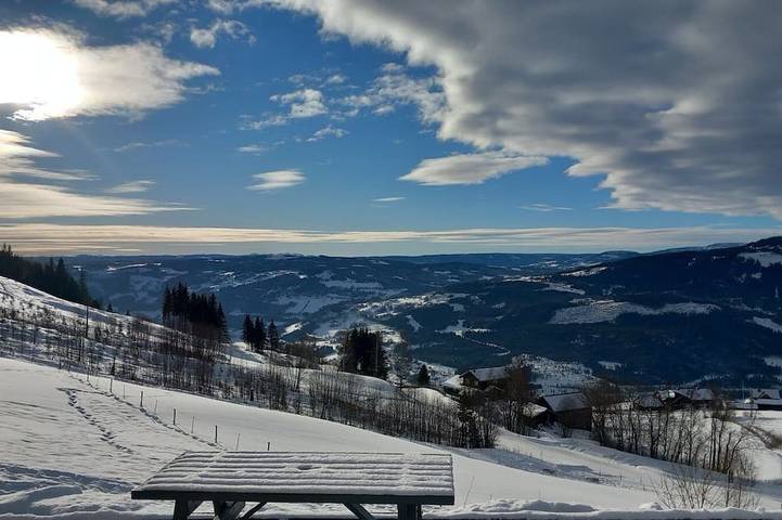 Hytte for 4 personer, med hage i Øyer