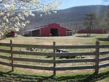 Log Cabin for 6 Guests in Georgia, USA, Picture 3