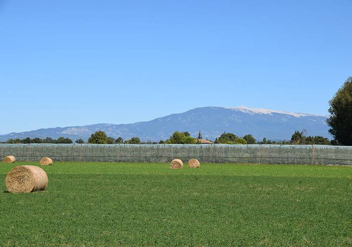 Chambre d’hôte pour 6 personnes, avec jardin dans le Vaucluse - 3