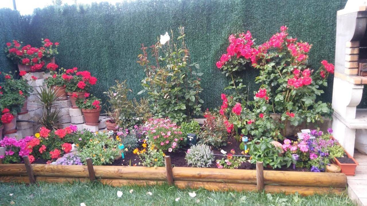 Casarosaenea in Olite, Provincia de Navarra