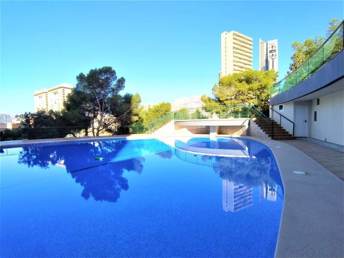 Entire apartment, Coblanca Xvi in Benidorm, Costa Blanca